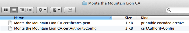 Both icons in Finder list view are blank generic in all OS X versions to date.