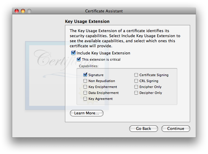 Use Key Usage Extension box is unchecked.