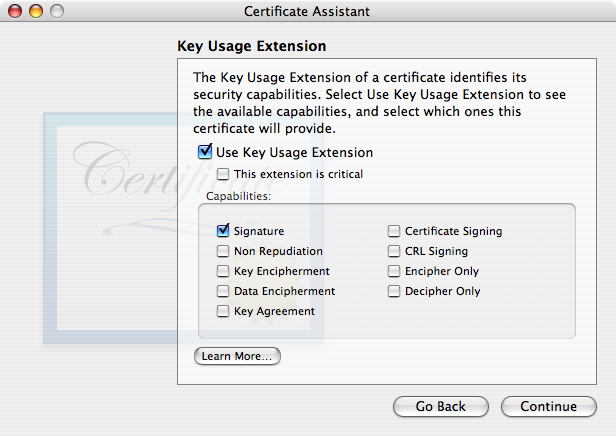 Only the Signature checkbox is checked. “This extension is critical” is unchecked.