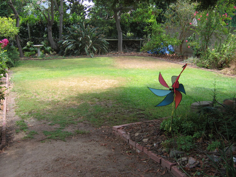 Brown and green patches on the backyard lawn