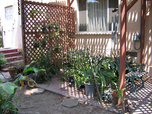 Potted plants in the red patio area