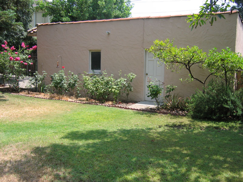 Though not blooming, the rose garden looks good, with very few weeds