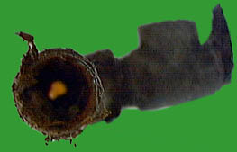 Example of crumbling iron pipe